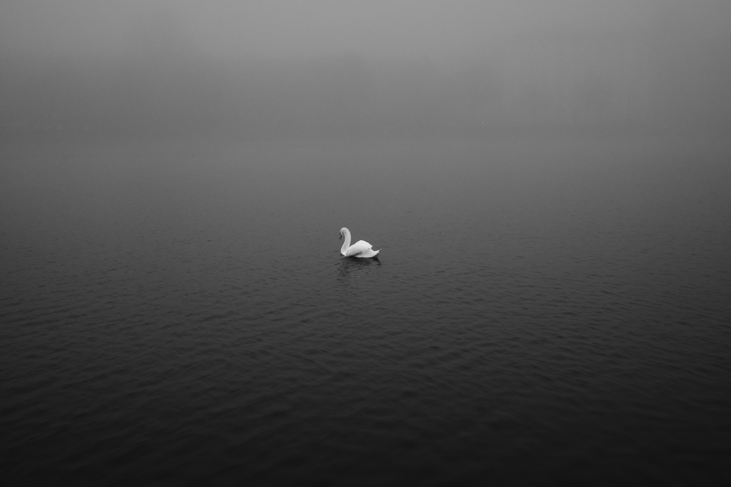 By the Waterline