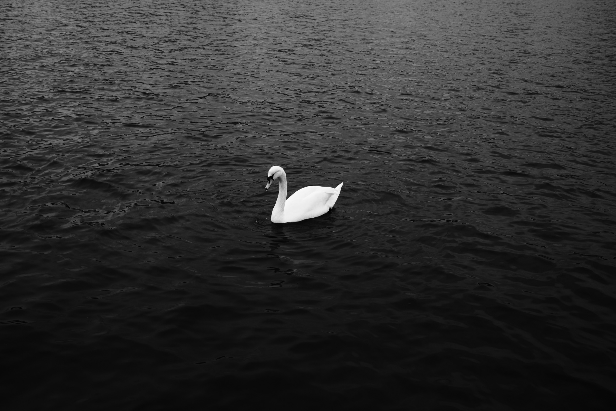 By the Waterline