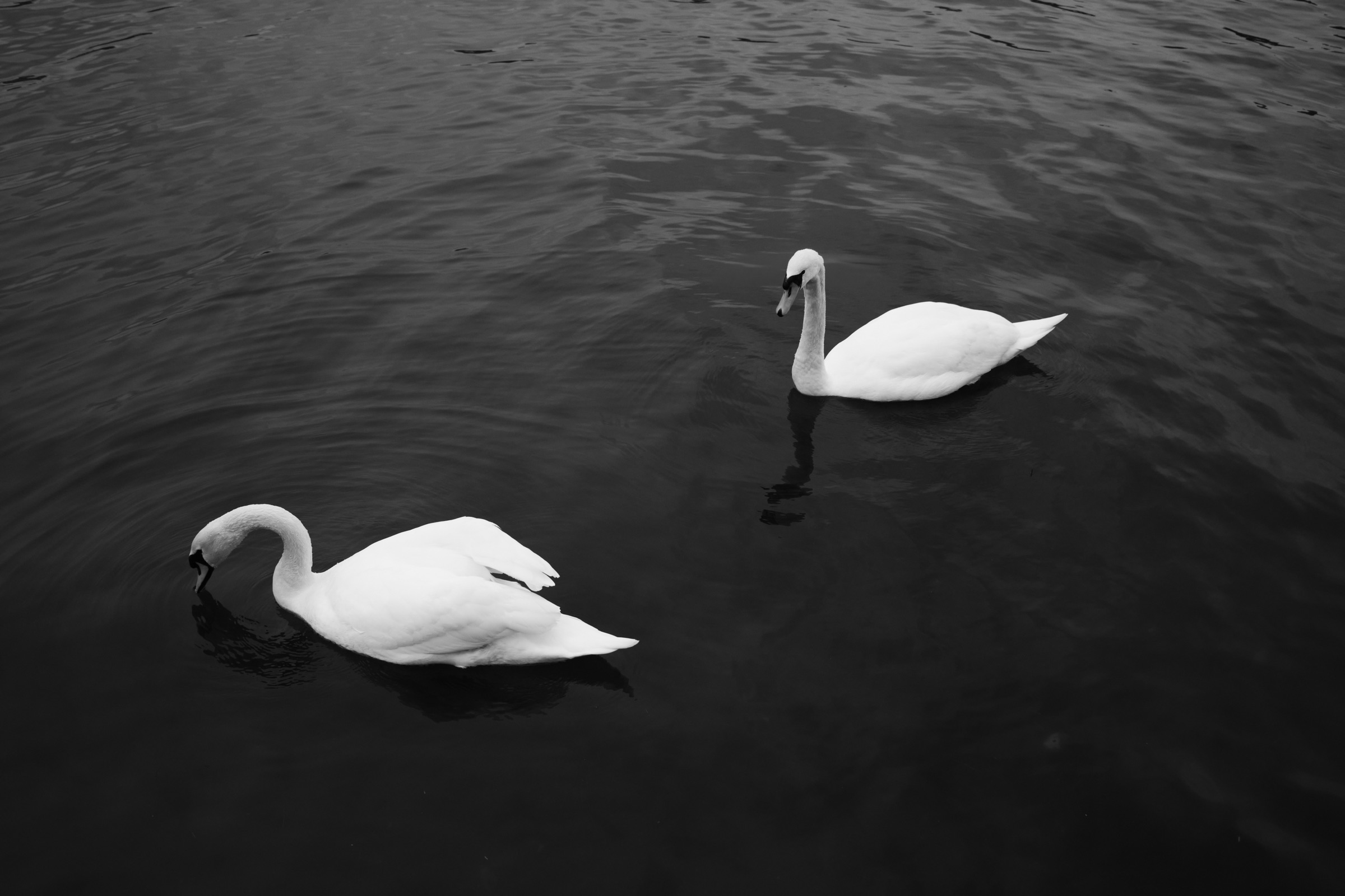 By the Waterline