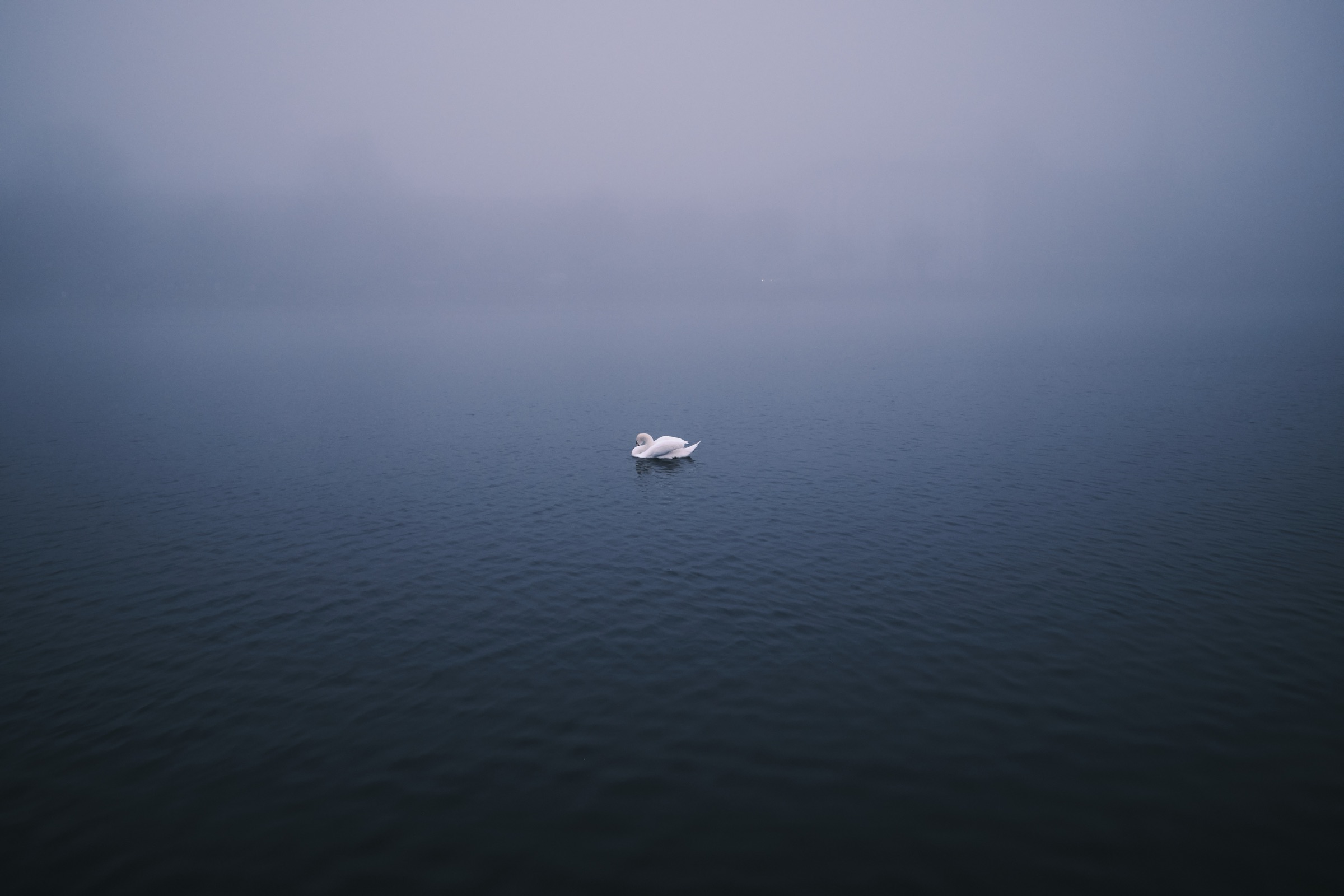 By the Waterline