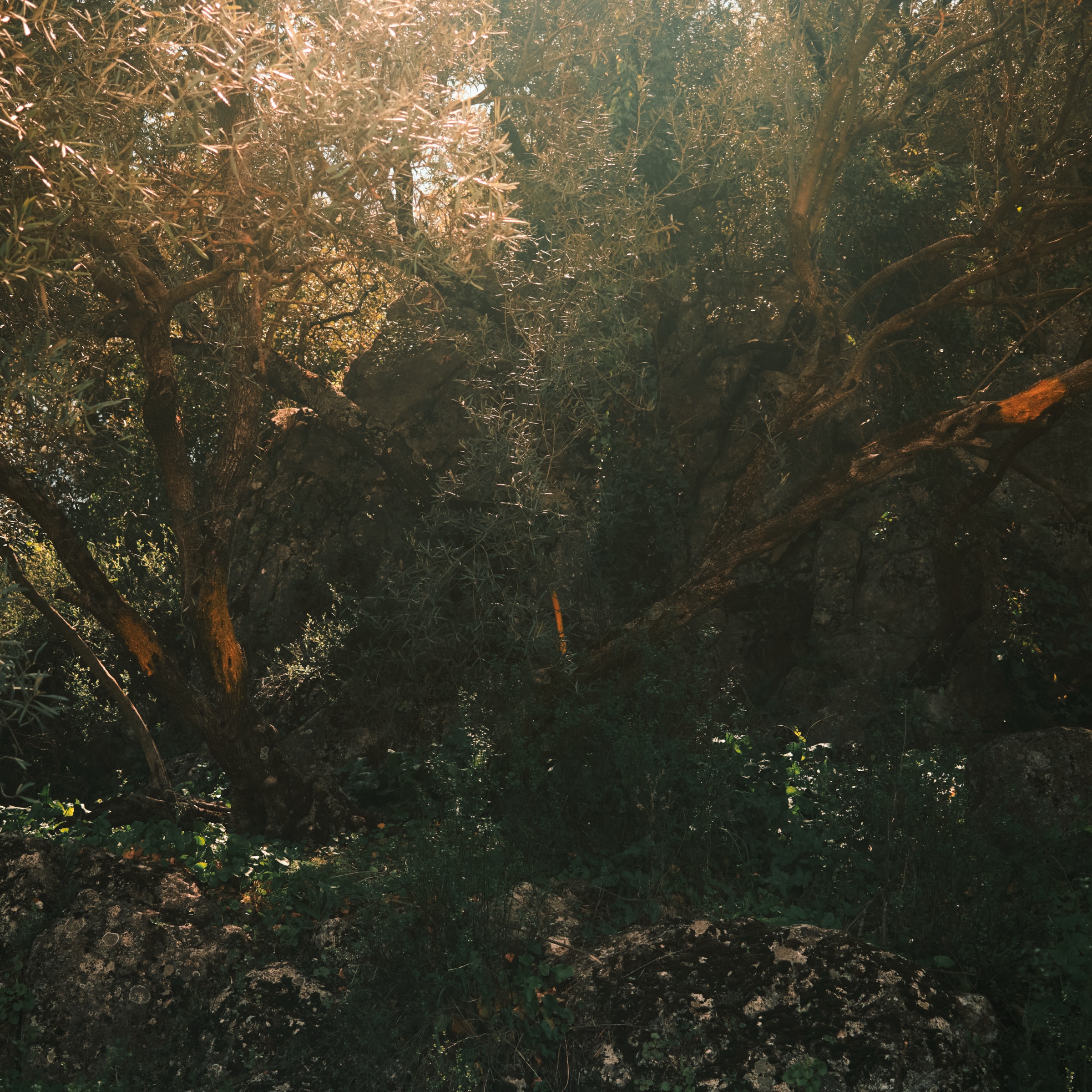 Málaga on Film (Almost)