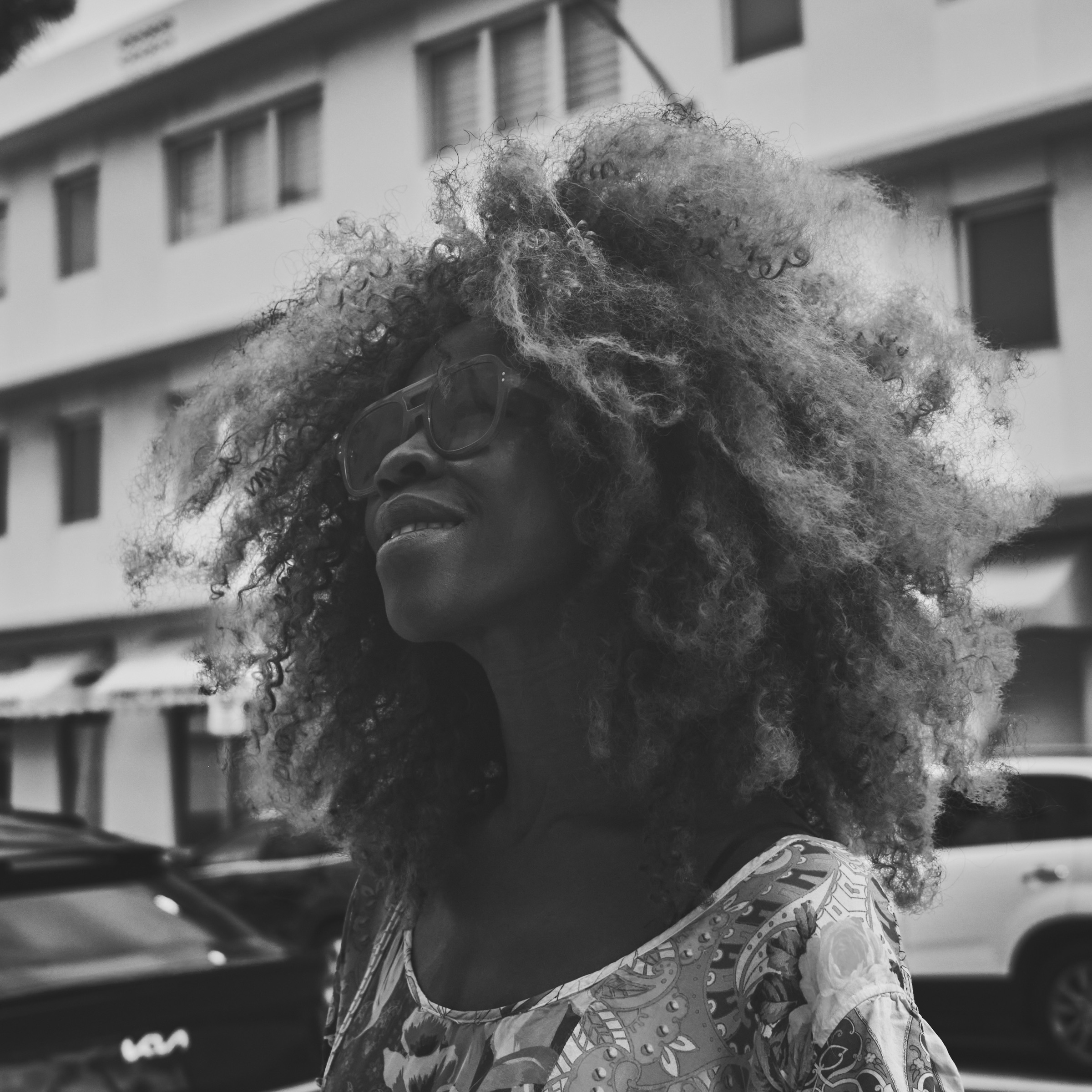 People, Paws & Pavement: The Characters of Miami