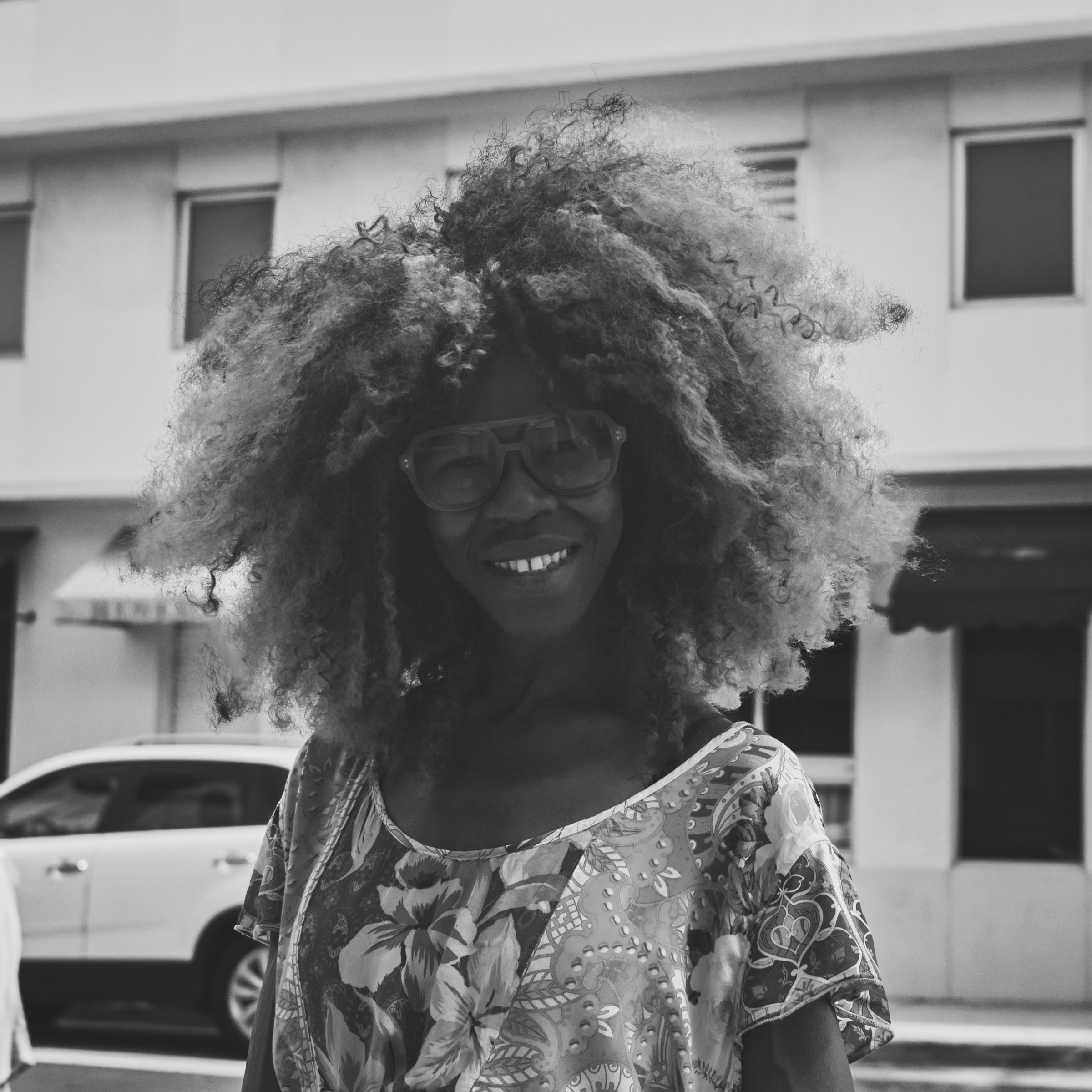 People, Paws & Pavement: The Characters of Miami